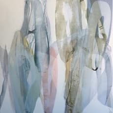 Lynn Sanders