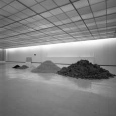 Dennis Oppenheim