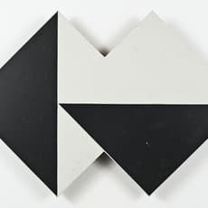 Lygia Clark