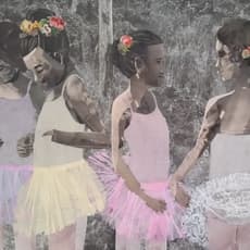 Olivier (South African)