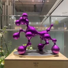 Donghoon OH 오동훈