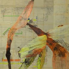 Josephine de Saint Seine