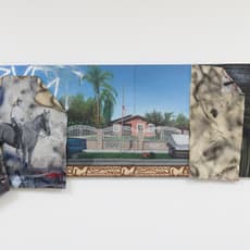 Alfonso Gonzales Jr.