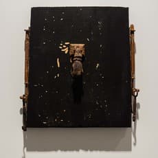 JAS - João Alexandrino