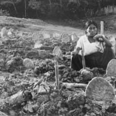 José Ángel Rodríguez