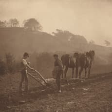 Frank Meadow Sutcliffe