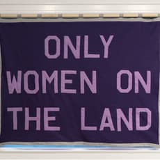 Carmen Winant