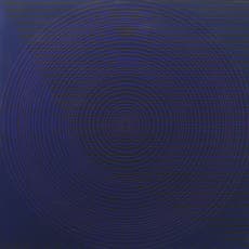 Peter Sedgley