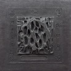 Cheung Yee