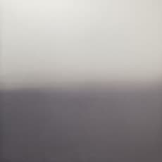 Miya Ando