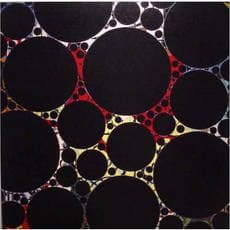 Maurizio Cannavacciuolo