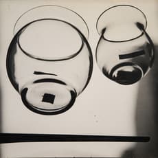 Rubens Teixeira Scavone