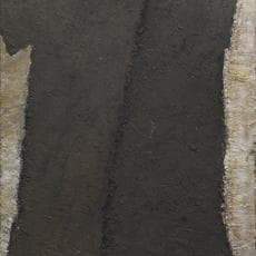 Michel Haas