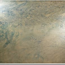 María Pilar Viviente Solé