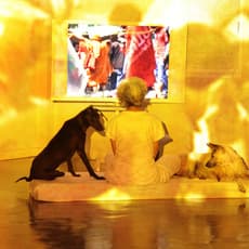 Araya Rasdjarmrearnsook