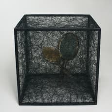 Chiharu Shiota