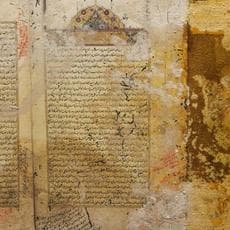 Mohamed Abou El Naga