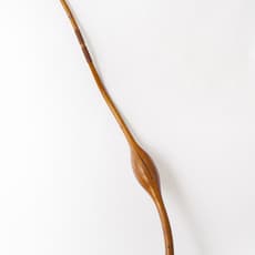 William Umbreit