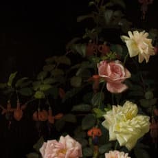 George Cochran Lambdin