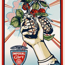 Shepard Fairey