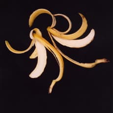 Anna Banana (b. 1940)