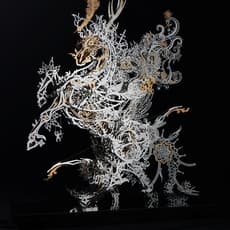 Shih-Pin Hsi