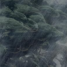 Yin Liang