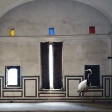 Karen Knorr