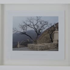 James Webb (b. 1975)