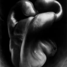 Edward Weston