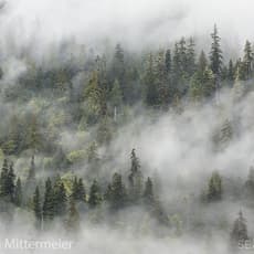 Cristina Mittermeier
