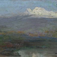 Luis Nishizawa