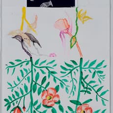 John Newsom