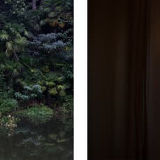 Hitoshi Fugo & Katsuyuki Uomoto 普後 均 魚本 勝之