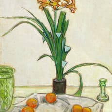 Joseph Plaskett