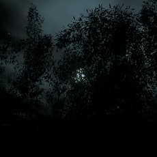 Martin Dörbaum 馬丁 · 迪爾鮑姆