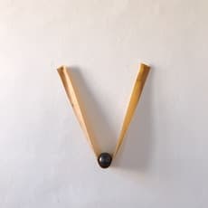 Leonardo Anker Vandal