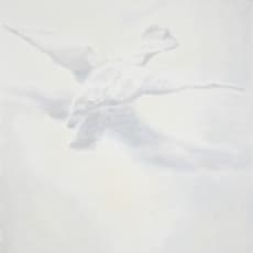 Luc Tuymans