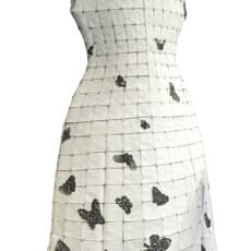 Fiona Lai-ching Wong