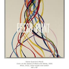 Diana Guerrero-Maciá