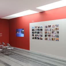 Daniil Revkovskiy, Andrij Rachinskiy