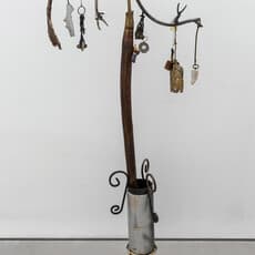 Daniel Swanigan Snow