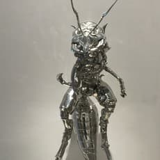 Chen Zhilong 陈志龙