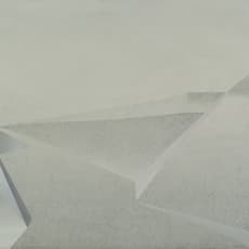 Alexandra Roussopoulos