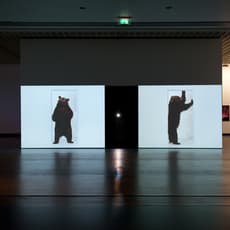 Marijke van Warmerdam