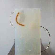 Anicka Yi
