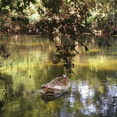 Marina González Guerreiro
