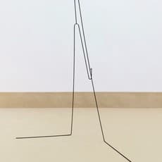 Birte Bosse