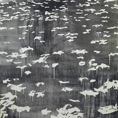 LU Song 吕松
