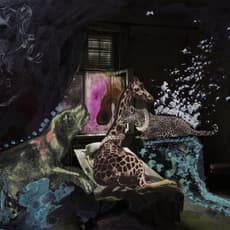 Nadin Maria Rüfenacht